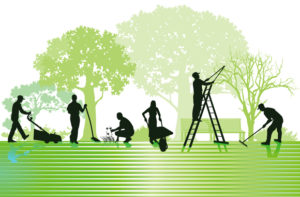 Our Mission image
