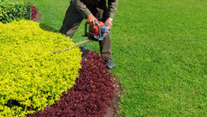 Bush Trimming image