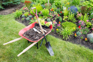 Planting image