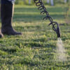 Fertilizing and Weed Control by JMM Lawnscapes